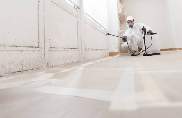 24/7 Emergency Black Mold Remediation experts in Lexington, TX