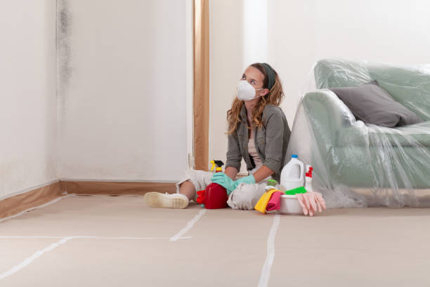 Reliable Black Mold Remediation contractor in Lexington, TX by Car Mold Remediation